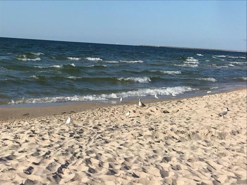 Idylla Apartamenty Polanki Kolobrzeg Dış mekan fotoğraf